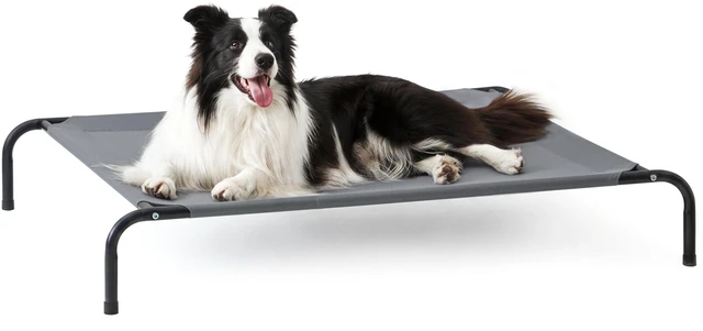 Main image of Elevated Cooling Dog Bed for Large Dogs, Portable Indoor & Outdoor Raised Pet Dog Cat Cot, Durable Summer Frame with Breathable Mesh, Grey, 48 inches