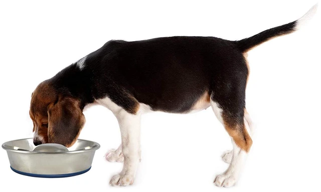 Alt view image 2 of 7 - DuraPet Slow Feed Premium Stainless Steel Bowl (Heavyweight Durable Stainless Steel Bowls, Dog Food Bowl, and Dog Water Bowl) Great Alternative to Snuffle Mat for Dogs-Medium