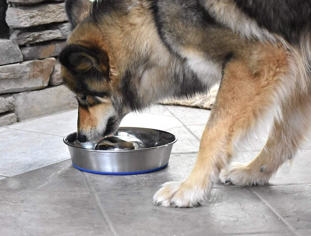 Alt view image 6 of 7 - DuraPet Slow Feed Premium Stainless Steel Bowl (Heavyweight Durable Stainless Steel Bowls, Dog Food Bowl, and Dog Water Bowl) Great Alternative to Snuffle Mat for Dogs-Medium