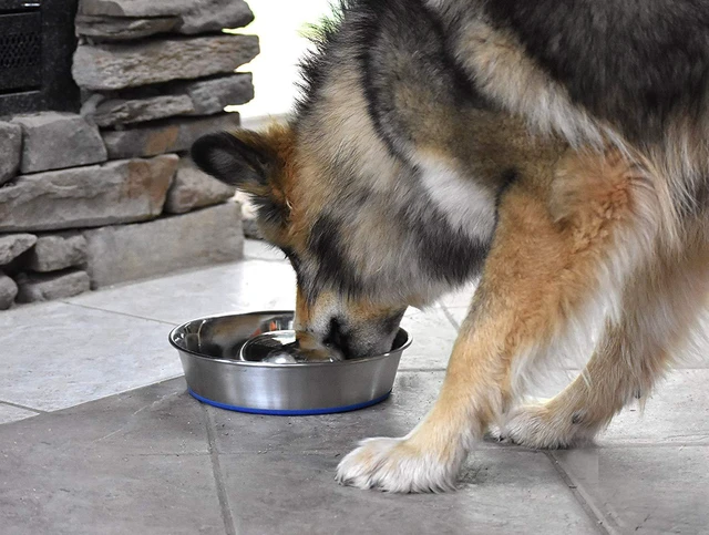Alt view image 7 of 7 - DuraPet Slow Feed Premium Stainless Steel Bowl (Heavyweight Durable Stainless Steel Bowls, Dog Food Bowl, and Dog Water Bowl) Great Alternative to Snuffle Mat for Dogs-Medium