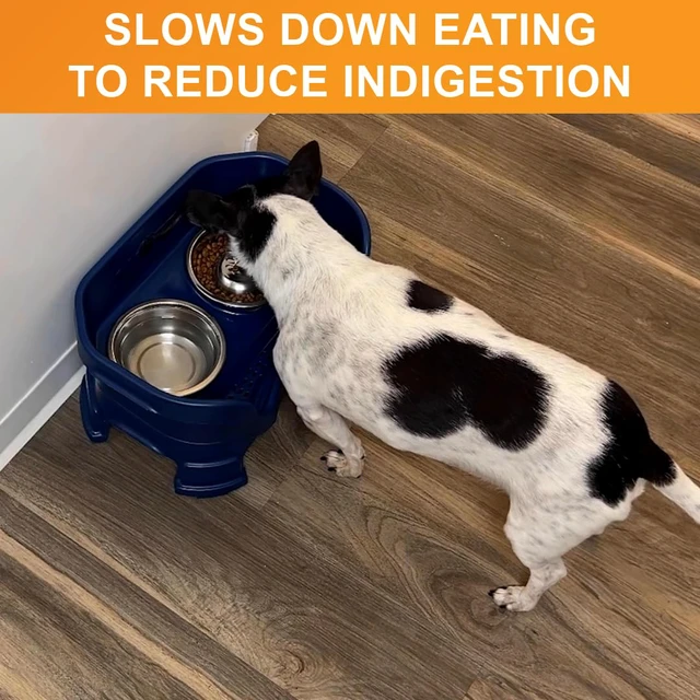 Alt view image 4 of 7 - Stainless Steel Slow Feed Dog Bowl for Fast Eating Small Breeds, Metal Slow Feeder Dog Bowl Fits in Cat & Small Neater Feeders, for Puppy or Dogs (< 15 lbs), 3/4 Cup Food Capacity