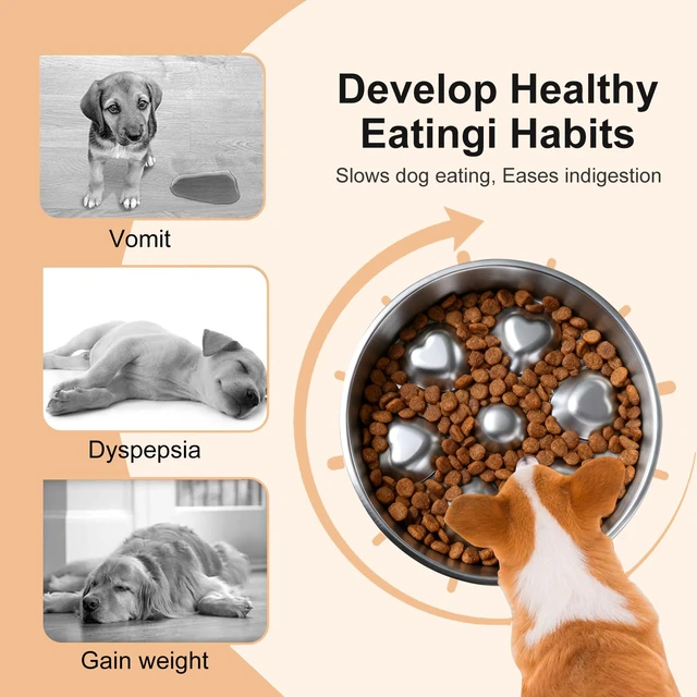 Alt view image 6 of 6 - 2 Pack Stainless Steel Slow Feeder Dog Bowls, Non-Slip Metal Pet Bowls for Fast Eaters, Anti-Gulping Bloat Prevention Dog Food Bowls, Easy to Clean for Small Breeds