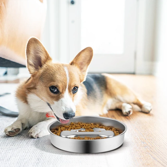 Alt view image 7 of 7 - Stainless Steel Slow Feeder Dog Bowls,2 Pcs Slow Food Bowl for Dog & Cat - 2 Cups Capacity,Bone-Shaped Design Pet Food Holder,Metal Non-Slip Lick Plate,Puzzle Maze Dish for Small & Medium Sized Breeds