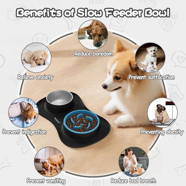 Alt view image 3 of 7 - Dog Food and Water Bowl Set 3 in 1, Slow Feeder Dog Bowls & Stainless Steel Water Bowl with Non-Spill Silicone Mat, Cat and Puppy Bowls Pet Dishes for Small Medium Large Breed Anti-Choking