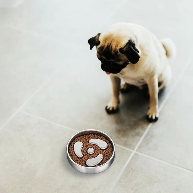 Alt view image 7 of 7 - Slow Feeder Dog Bowls, 1Cup for Small Puppy, 1Pack | Food-Grade Double-Wall Stainless Steel, Heavy Duty with Non-Slip Rubber Base, Anti-Choking Puzzle Bowl to Slow Down Eating