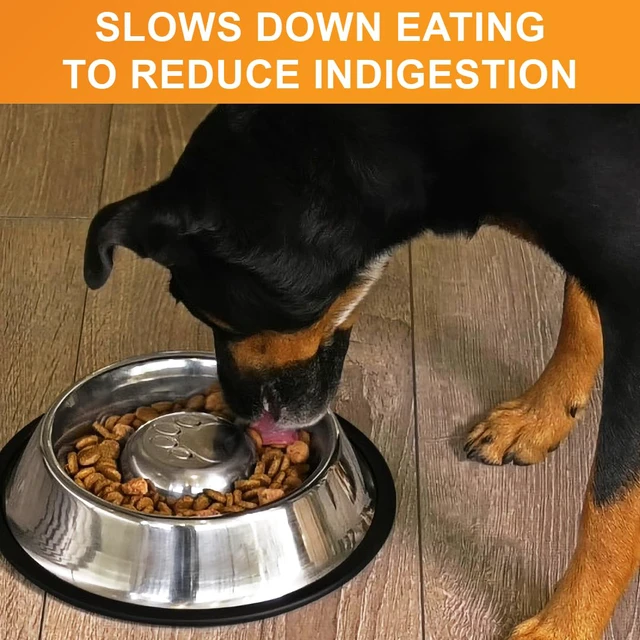 Alt view image 4 of 7 - Stainless Steel Slow Feed Bowl - Non-Tip & Non-Skid - Stops Dog Food Gulping, Bloat, Indigestion, and Rapid Eating (3 Cup)