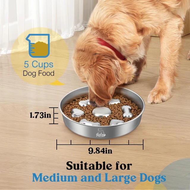 Alt view image 2 of 7 - Slow Feeder Dog Bowls, 304 Stainless Steel Slow Feeder Bowl, 5 Cups | Metal Pet Food Bowl Prevent Choking, Non-Slip Base for Medium & Large Breed, Bloat Stop, Dishwasher Safe