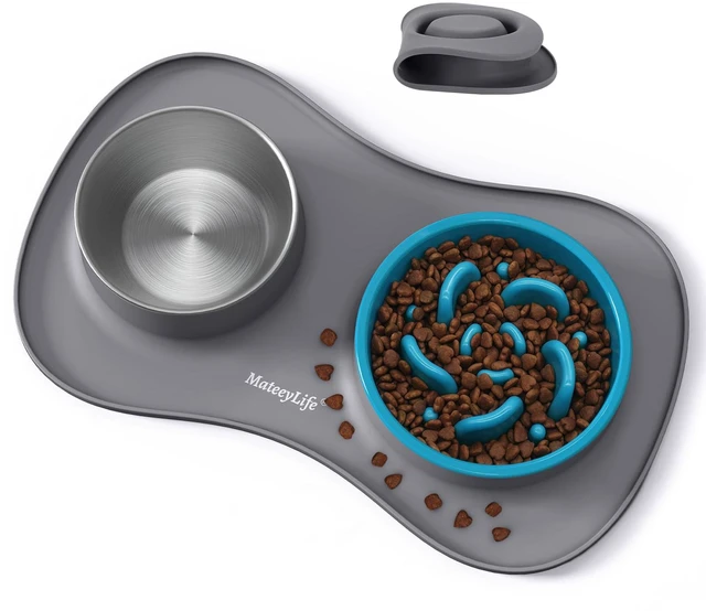 Main image of Dog Food and Water Bowl Set 3 in 1, Slow Feeder Dog Bowls & Stainless Steel Water Bowl with Non-Spill Silicone Mat, Cat and Puppy Bowls Pet Dishes for Small Medium Large Breed Anti-Choking