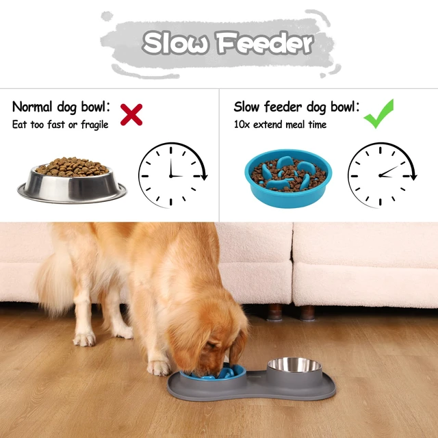 Alt view image 2 of 5 - Dog Food and Water Bowl Set 3 in 1, Slow Feeder Dog Bowls & Stainless Steel Water Bowl with Non-Spill Silicone Mat, Cat and Puppy Bowls Pet Dishes for Small Medium Large Breed Anti-Choking