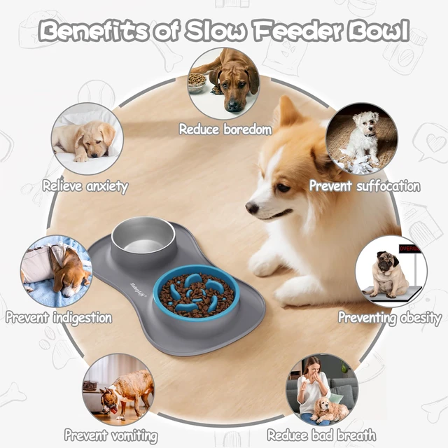 Alt view image 3 of 5 - Dog Food and Water Bowl Set 3 in 1, Slow Feeder Dog Bowls & Stainless Steel Water Bowl with Non-Spill Silicone Mat, Cat and Puppy Bowls Pet Dishes for Small Medium Large Breed Anti-Choking