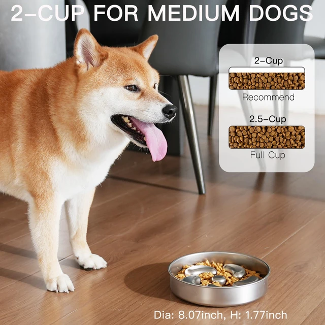Alt view image 2 of 7 - Slow Feeder Dog Bowl-2Cups for Medium Breeds, Double Wall Food-Grade Stainless Steel, Heavy Duty with Non-Slip Rubber Base, Puzzle Maze Bowl to Slow Down Eating