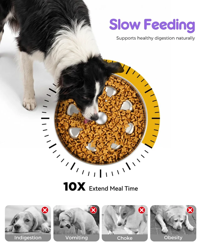 Alt view image 2 of 7 - Slow Feeder Dog Bowls Stainless Steel Non-Slip Metal Bowl for Slow Feeding, 5 Cups Large Capacity, Double-Sided Design for Dry, Wet, or Raw Food, Ideal for Small, Medium, Large Dogs