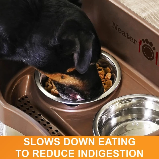 Alt view image 4 of 7 - Stainless Steel Slow Feed Dog Bowl for Fast Eating Large Breed, Metal Slow Feeder Dog Bowl Fits in Large Neater Feeders, for Puppy or Dogs (>40 lbs), 3 Cup Food Capacity