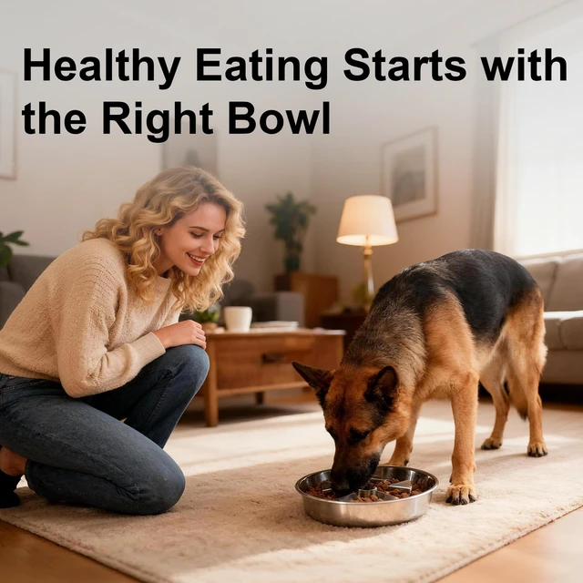 Alt view image 3 of 7 - 304 Stainless Steel Slow Feeder Dog Bowls, 2.5 Cups Capacity | Non-Slip Metal Dog Slow Feeder Bowl, Raised Design for Slow Eating & Digestive Health - Perfect for Medium Large Dogs
