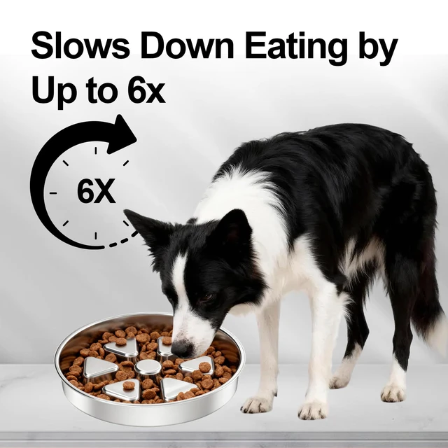 Alt view image 7 of 7 - 304 Stainless Steel Slow Feeder Dog Bowls, 2.5 Cups Capacity | Non-Slip Metal Dog Slow Feeder Bowl, Raised Design for Slow Eating & Digestive Health - Perfect for Medium Large Dogs