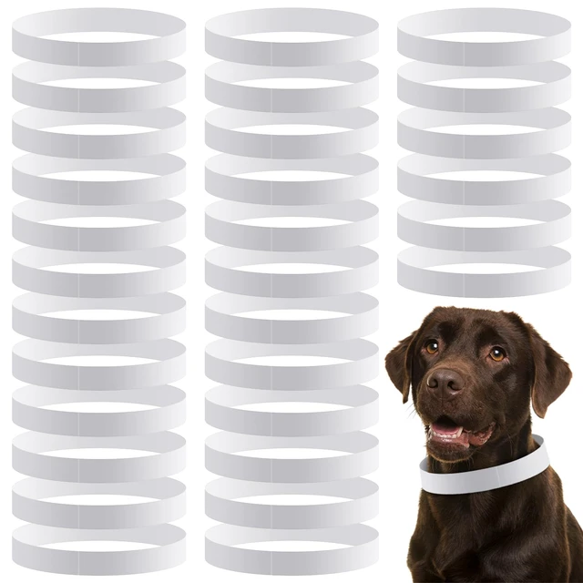 Main image of 500 Count 20inch Adjustable Paper Dog Collars with Tear Resistant Waterproof Whelping Collars Paper Puppy ID Bands Adhesive Pet Identification Tags for Newborn Dog Cat Hospitals(White)