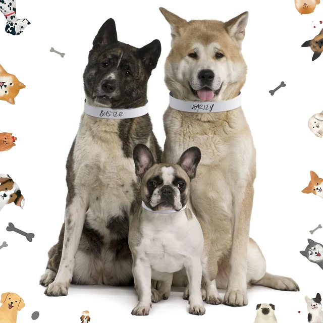 Alt view image 5 of 6 - 500 Count 20inch Adjustable Paper Dog Collars with Tear Resistant Waterproof Whelping Collars Paper Puppy ID Bands Adhesive Pet Identification Tags for Newborn Dog Cat Hospitals(White)