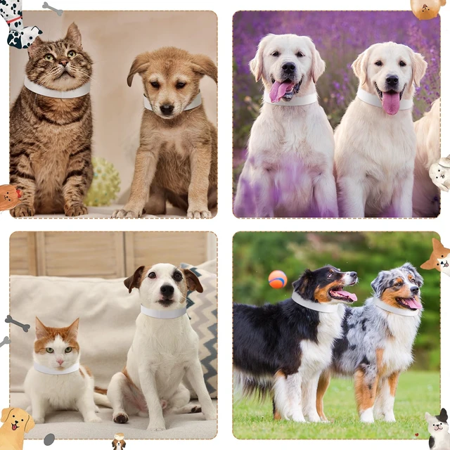 Alt view image 6 of 6 - 500 Count 20inch Adjustable Paper Dog Collars with Tear Resistant Waterproof Whelping Collars Paper Puppy ID Bands Adhesive Pet Identification Tags for Newborn Dog Cat Hospitals(White)