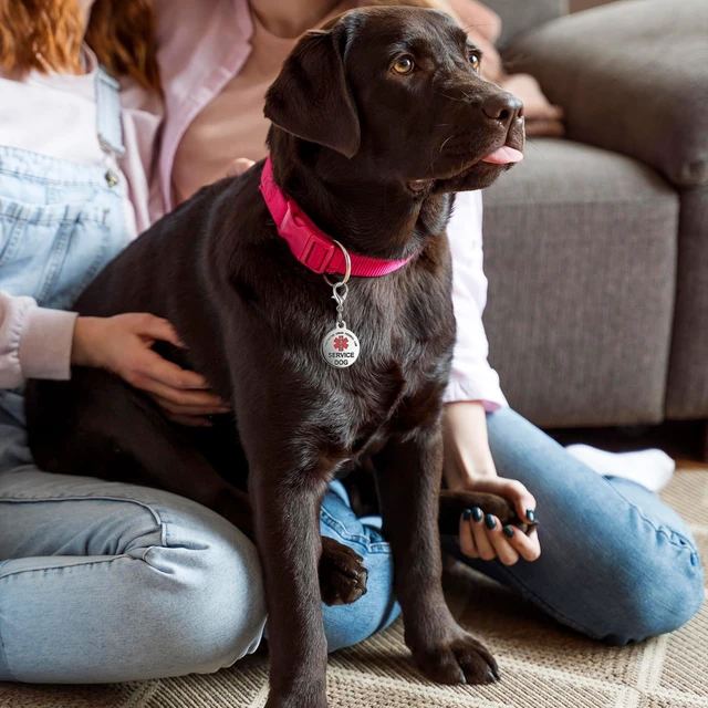 Alt view image 5 of 7 - 2Pcs Service Dog Tag Industrial Puppy for Service Animals, Emotional Support Dogs & Therapy Dogs Stainless Steel with Medical Alert Symbol Easily Attach to Collar Harness