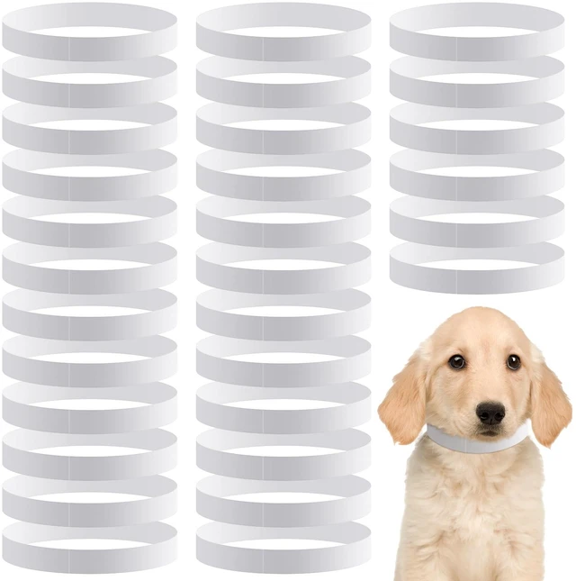 Main image of 500 Count 10 Inch White Adjustable Paper Dog Collars with Tear Resistant Waterproof Whelping Collars Paper Puppy ID Bands Adhesive Pet Identification Tags for Newborn Dog Cat Animal