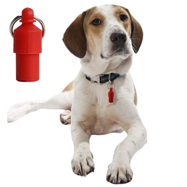 Alt view image 2 of 7 - 6 Pack Pet Identity Address Pendant Tube Custom Pet ID Tags Anti-Lost Phone Address Holder Keeper Pet ID Tubes for Emergency Contact Info Lost Pet Recovery Medical Information Medication