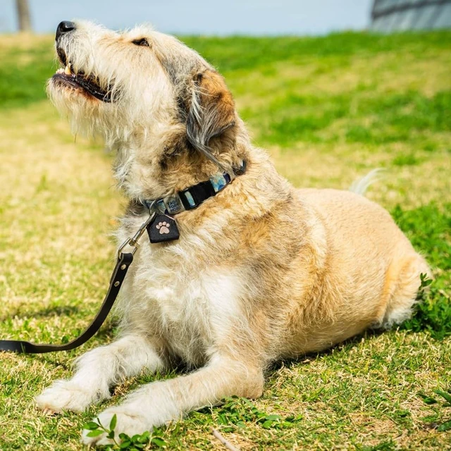 Alt view image 4 of 7 - Dog Tag Silencer, Black Pawprint - Quiet Noisy Pet Tags - Fits Up to Four Pet IDs - Dog Tag Cover Protects Metal Pets IDs, Made of Durable Nylon, Universal Fit, Machine Washable