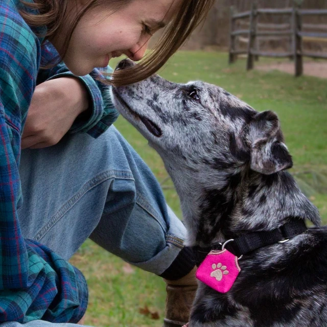 Alt view image 2 of 7 - Dog Tag Silencer, Black Pawprint - Quiet Noisy Pet Tags - Fits Up to Four Pet IDs - Dog Tag Cover Protects Metal Pets IDs, Made of Durable Nylon, Universal Fit, Machine Washable