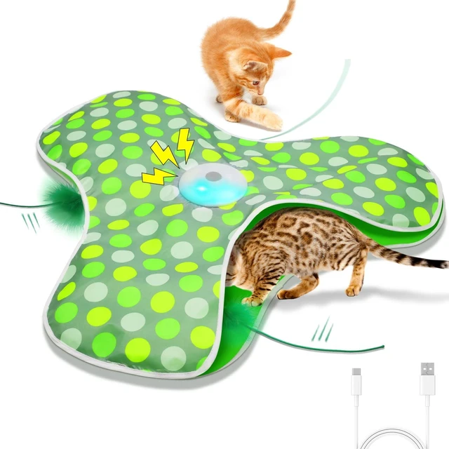 Main image of Interactive Cat Toys,Moving Concealed Feathers Toy for Indoor Cats | Mouse Squeaky,Touch Activated,Cat Kitten Toy Exercise Toys for Indoor Bored Adult Cats,Rechargeable Cat Stimulation Teaser