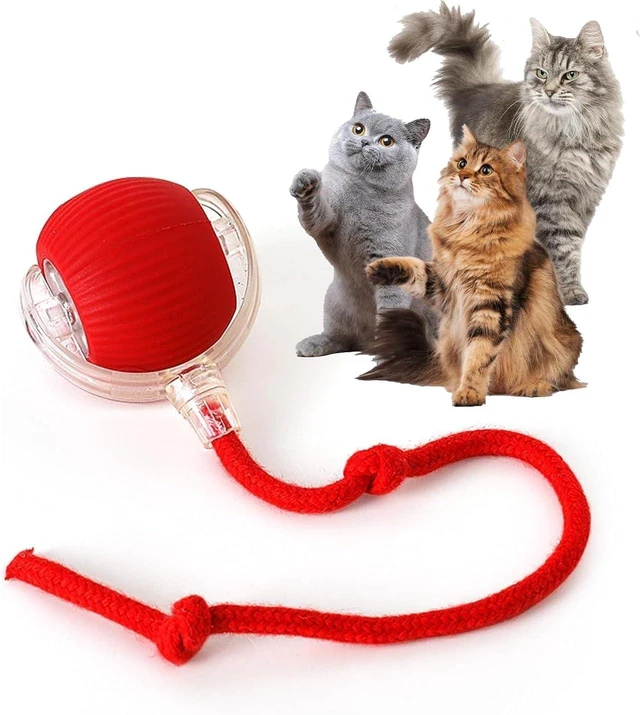 Main image of Durable Interactive Cat Toys for Indoor Cats (red, 01) | Smart Automatic Cat Chase Ball Toy, Upgraded Speedy Tail Kitten Toy for Bored Indoor Adult Pets