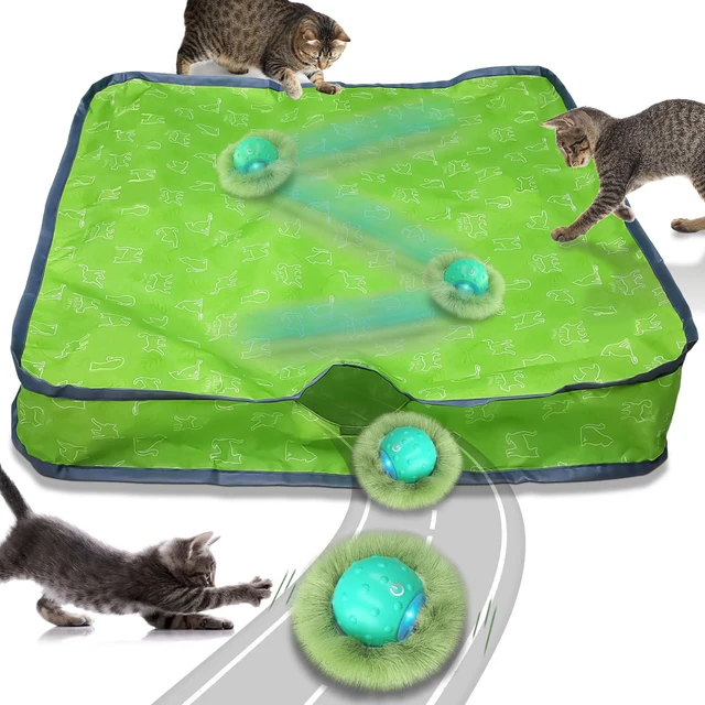 Main image of Interactive Cat Toys for Indoor Cats,Automatic Moving Cat Ball in Pouch,Chirping Stimulation,Hide-n-Seek Chase Exercise Game,Motion Activate,Rechargeable Kitten Toys