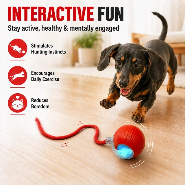 Alt view image 2 of 6 - Interactive Automatic Rolling Electronic Stimulation Chase Ball Cat Dog Toy Smart Electric Moving Stimulating Rechargeable Motion Activated Self Play Teaser for Boredom Small Dog Puppy Pet, with Rope