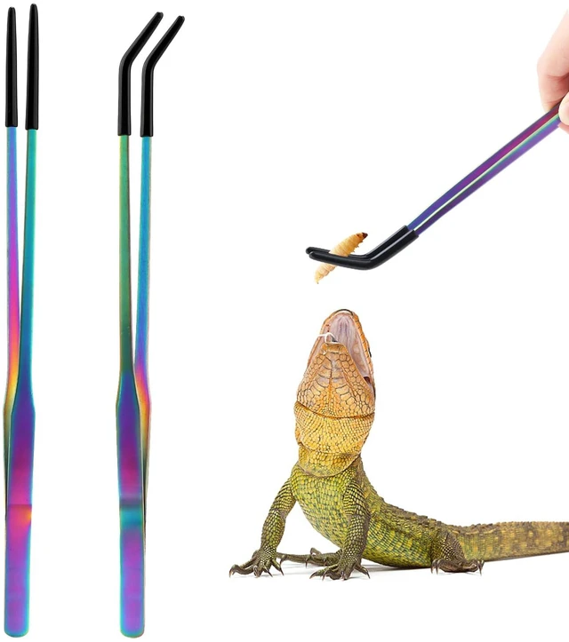 Main image of OLIISS Iridescent Reptile Feeding Tongs with Rubber Tips, 10.6", 2 Pack | Straight & Curved, Stainless Steel, Secure Grip, Feeder Tools for Bearded Dragons, Geckos & Lizards, Terrarium Tank Supplies