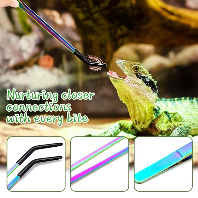 Alt view image 3 of 7 - OLIISS Iridescent Reptile Feeding Tongs with Rubber Tips, 10.6", 2 Pack | Straight & Curved, Stainless Steel, Secure Grip, Feeder Tools for Bearded Dragons, Geckos & Lizards, Terrarium Tank Supplies