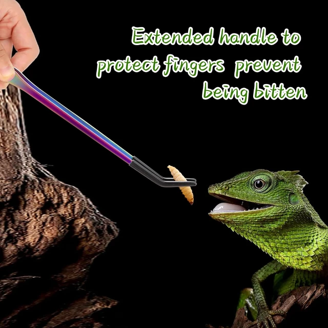 Alt view image 4 of 7 - OLIISS Iridescent Reptile Feeding Tongs with Rubber Tips, 10.6", 2 Pack | Straight & Curved, Stainless Steel, Secure Grip, Feeder Tools for Bearded Dragons, Geckos & Lizards, Terrarium Tank Supplies