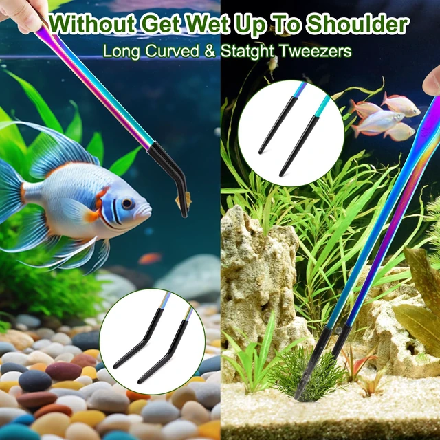 Alt view image 6 of 7 - OLIISS Iridescent Reptile Feeding Tongs with Rubber Tips, 10.6", 2 Pack | Straight & Curved, Stainless Steel, Secure Grip, Feeder Tools for Bearded Dragons, Geckos & Lizards, Terrarium Tank Supplies