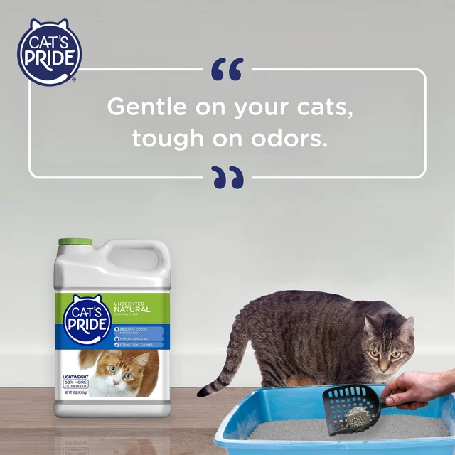 Alt view image 6 of 7 - Natural Lightweight Hypoallergenic Clumping Litter 10lb