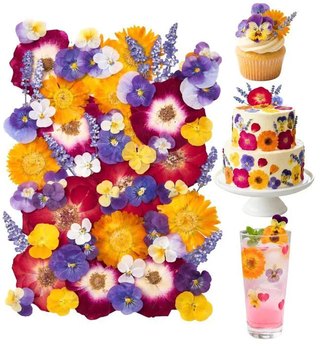 Main image of 70 Pcs Edible Flowers for Cocktails & Cake Decorating Real Dried Edible Flowers Cupcake Toppers, Food Grade Edible Pressed Flowers for Drinks, Garnish & Crafts (Pansies, Rose, Calendula, Lavender)
