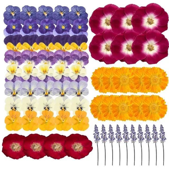 Alt view image 2 of 7 - 70 Pcs Edible Flowers for Cocktails & Cake Decorating Real Dried Edible Flowers Cupcake Toppers, Food Grade Edible Pressed Flowers for Drinks, Garnish & Crafts (Pansies, Rose, Calendula, Lavender)