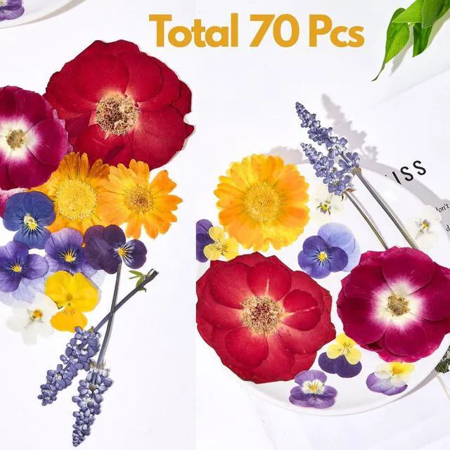 Alt view image 3 of 7 - 70 Pcs Edible Flowers for Cocktails & Cake Decorating Real Dried Edible Flowers Cupcake Toppers, Food Grade Edible Pressed Flowers for Drinks, Garnish & Crafts (Pansies, Rose, Calendula, Lavender)