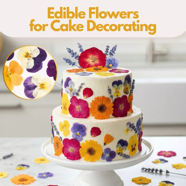 Alt view image 5 of 7 - 70 Pcs Edible Flowers for Cocktails & Cake Decorating Real Dried Edible Flowers Cupcake Toppers, Food Grade Edible Pressed Flowers for Drinks, Garnish & Crafts (Pansies, Rose, Calendula, Lavender)
