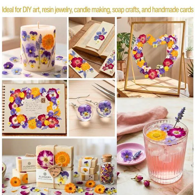 Alt view image 4 of 7 - 70 Pcs Edible Flowers for Cocktails & Cake Decorating Real Dried Edible Flowers Cupcake Toppers, Food Grade Edible Pressed Flowers for Drinks, Garnish & Crafts (Pansies, Rose, Calendula, Lavender)