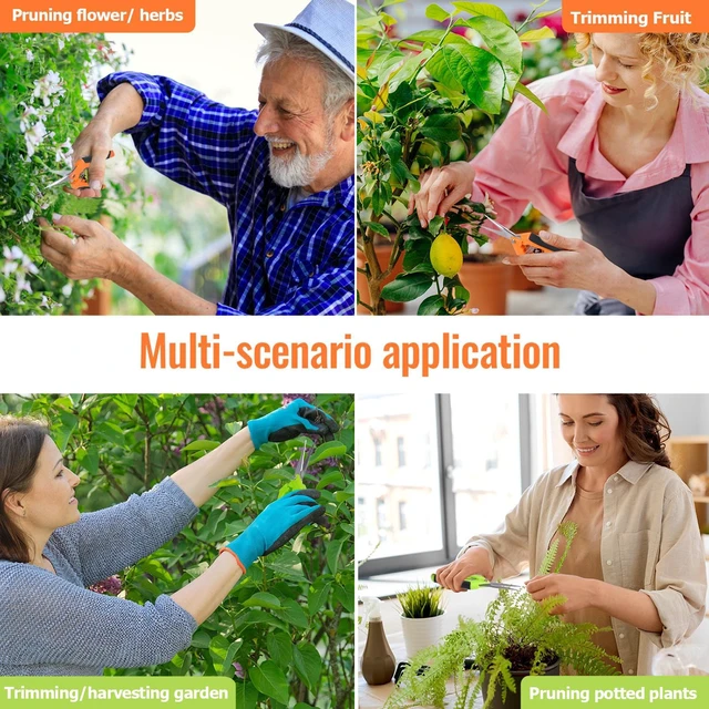 Alt view image 7 of 7 - 4 Pack Pruning Shears 6.5 Inch Stainless Steel Garden Scissors | with Sharp Precision Blades, Comfortable Ergonomic Hand Snips for Deadheading, Flowers, Trimming Herbs, Shaping Small Plants
