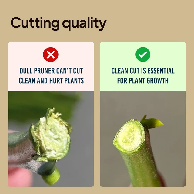 Alt view image 7 of 7 - 8.5" Professional Pruning Shears, Garden Clippers - Cuts 3X Easier Sharp Japanese Blade, Arthritis Friendly Garden Scissors for Seniors, Bonsai Cutters