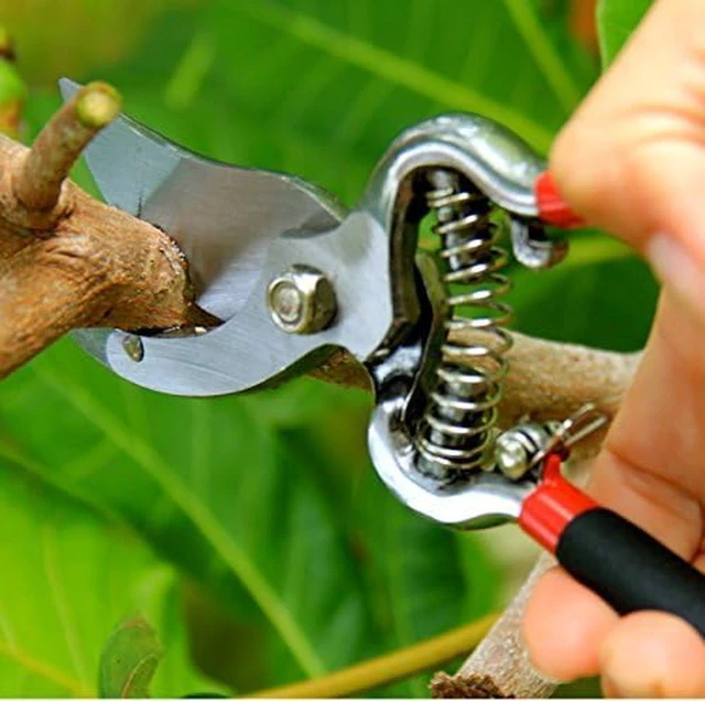 Alt view image 5 of 7 - Classic Bypass Pruning Shears Clippers Heavy Duty Forged Steel Garden Pruners Safety Lock Non Slip Comfort Grips Cuts up to 1 Diameter Professional Bypass Pruners for Gardening