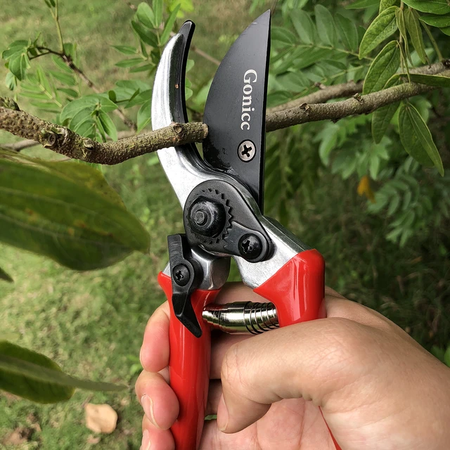 Alt view image 4 of 7 - 8" Professional Sharp Bypass Pruning Shears (GPPS-1002) | Arthritis Friendly Garden Scissors & Plant Clippers, Sap Groove Design, Effortlessly Prunes 3/4" Branches.