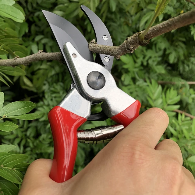 Alt view image 5 of 7 - 8" Professional Sharp Bypass Pruning Shears (GPPS-1002) | Arthritis Friendly Garden Scissors & Plant Clippers, Sap Groove Design, Effortlessly Prunes 3/4" Branches.