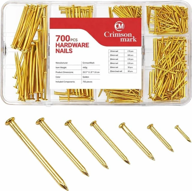 Main image of Nails Assortment Kit - 700 PCS Galvanized High Carbon Nails for Hanging Art | 6 Sizes Organizer Box for Frames, Pictures & DIY Projects Durable Rust-Resistant Hardware Set (Gold)