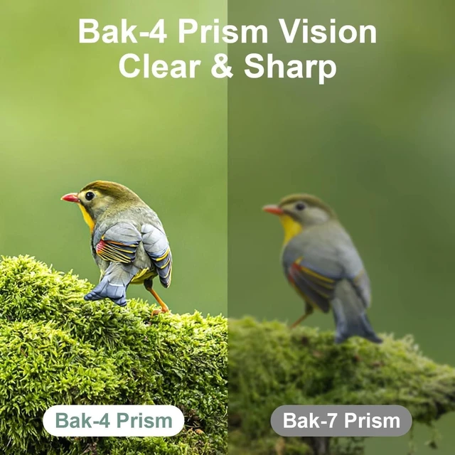 Alt view image 4 of 7 - 12X25 Mini Pocket Binoculars High Definition Optical Lens Lightweight Folding Small Compact Telescope Portable Clear Vision Adults Kids Outdoor Gear for Bird Watching Opera Concert Travel Hiking Game