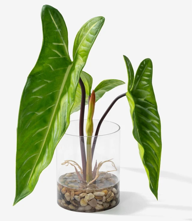 Main image of Realistic Faux Plant in Clear Pot with Artificial Water, Narrow Arrowhead Leaves. Artificial Plants Indoor and Outdoor
