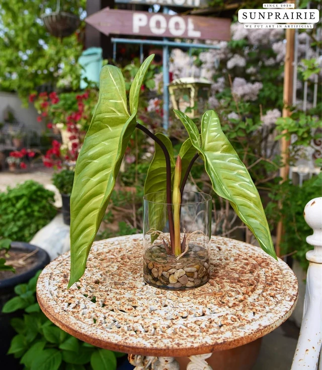 Alt view image 4 of 7 - Realistic Faux Plant in Clear Pot with Artificial Water, Narrow Arrowhead Leaves. Artificial Plants Indoor and Outdoor